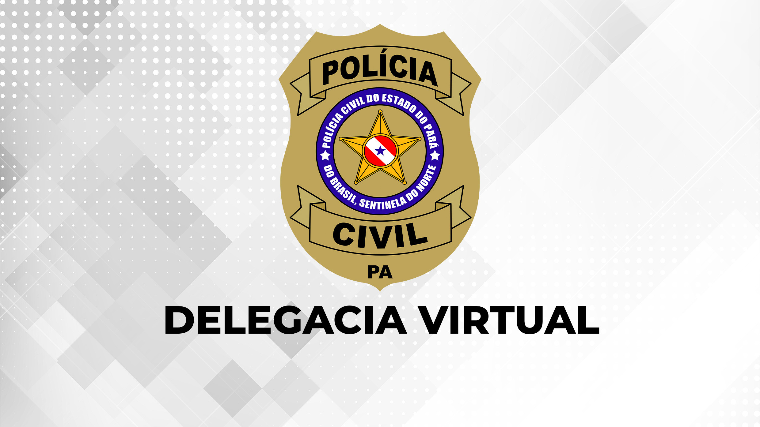 <p>A Delegacia Virtual foi desenvolvida com o objetivo de facilitar o acesso do cidadão ao serviço de registro de ocorrência policial.</p>